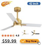 ceiling fan