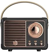 LUKADER Retro Bluetooth Speaker, Vintage Decor, Wireless Portable Mini Bluetooth Speaker, Small C...