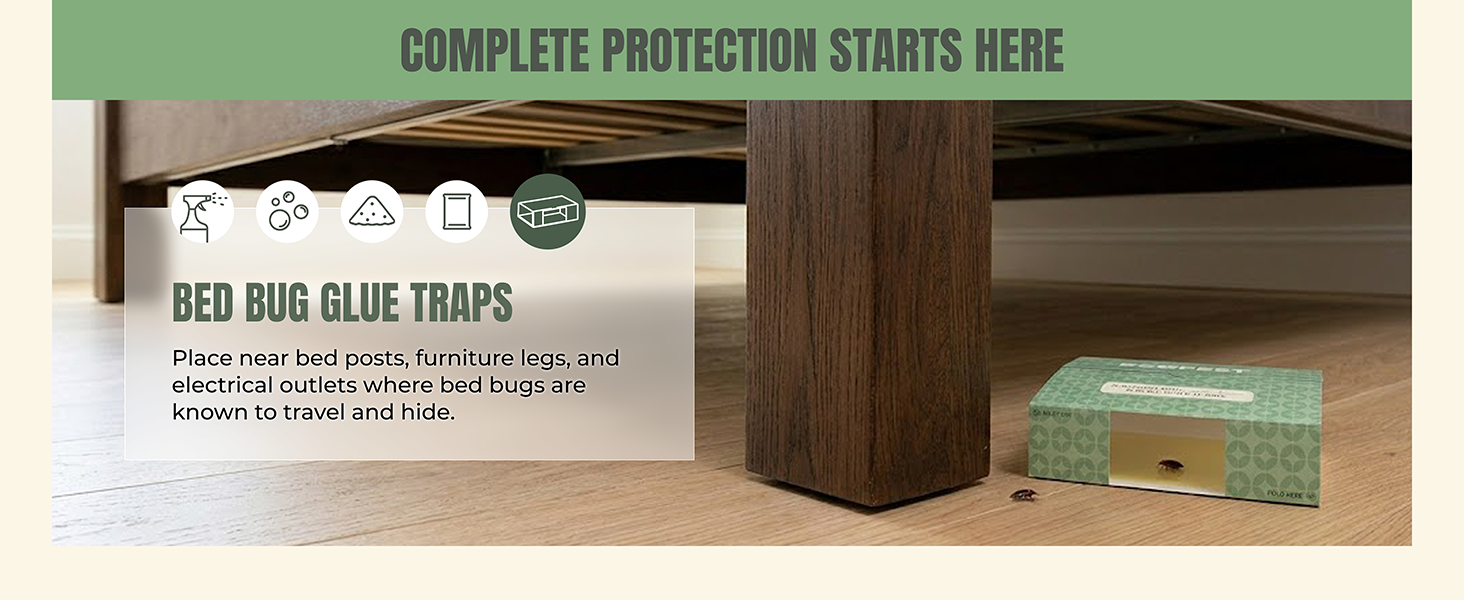 bed bug killer indoor safe pets kids bedbugs