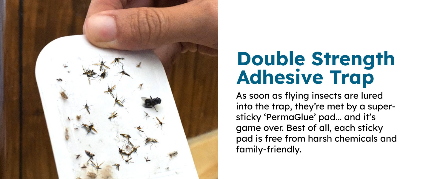 plug-in get flies house zevo killer zeno bugs stem nat evo zapper zeyo keep out gnats catchy veyofly