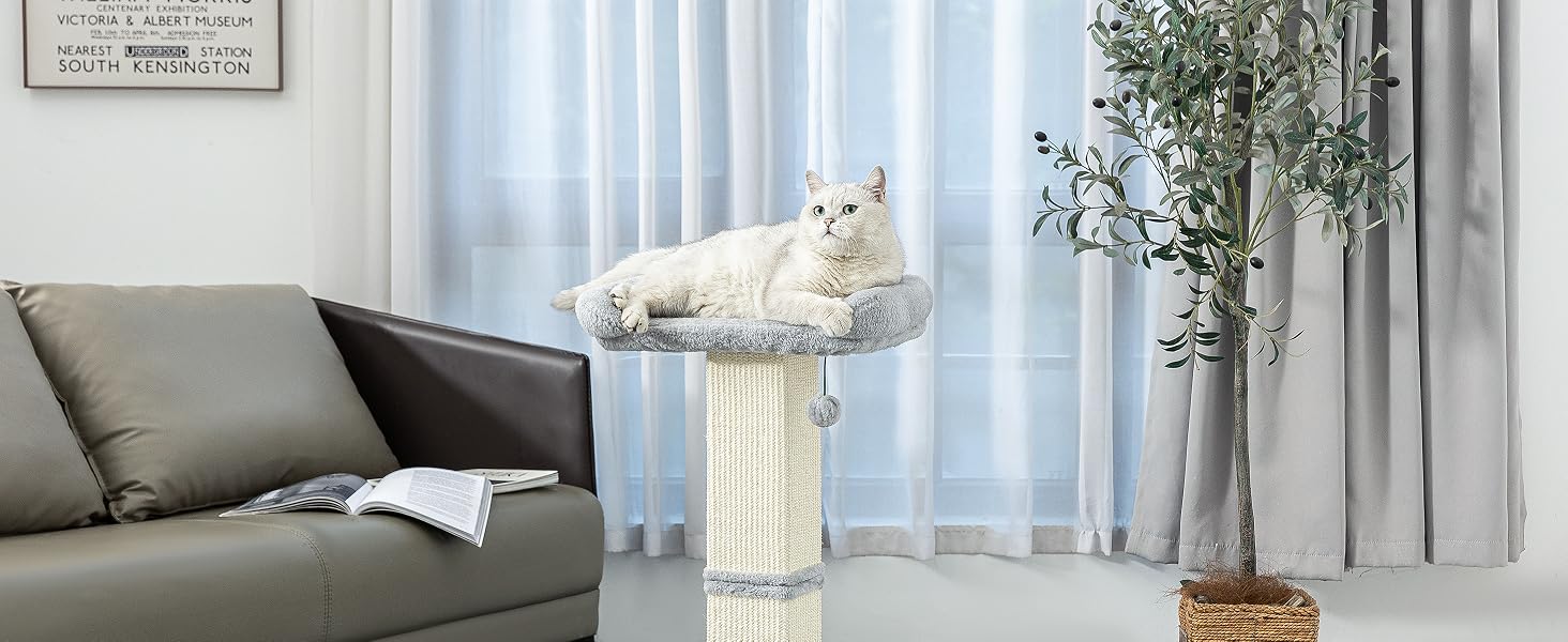 cat scratching post with Plush Perch
