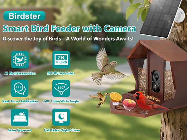 smart bird feeder with camera solar powered power wood wifi ai video live outdoor outside