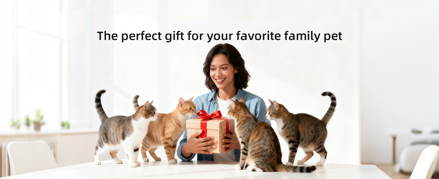 automatic cat feeder