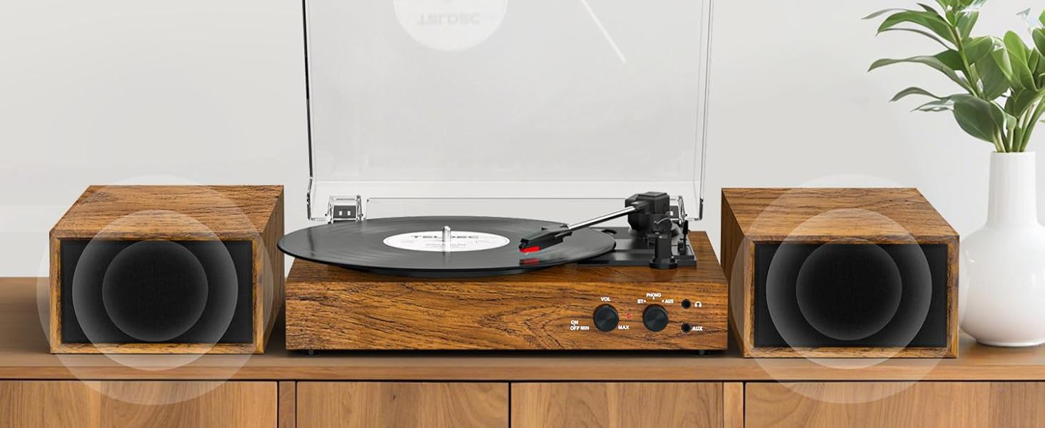 Vinyl Record Player with External Stereo Speakers
