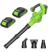 21V Cordless Leaf Blower 4-in-1 Nozzles Design Battery Powered Leaf Blowers with 2 Batteries and ...