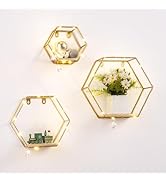 Ideal Swan Hexagon Floating Shelves Wall Decor with LED Lights, Gold Shelves Display Shelf for Wa...