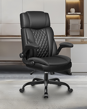 Desk Chair with Lumber support