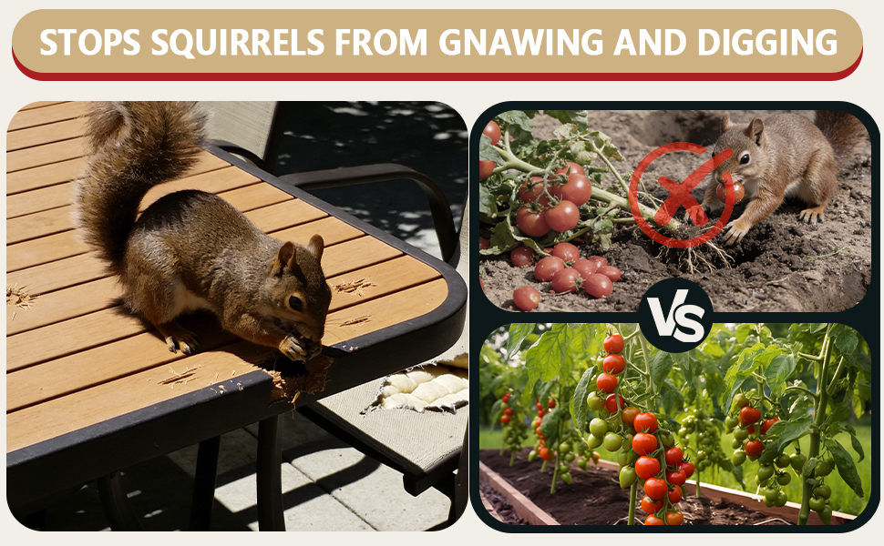 Squirrel Repellent