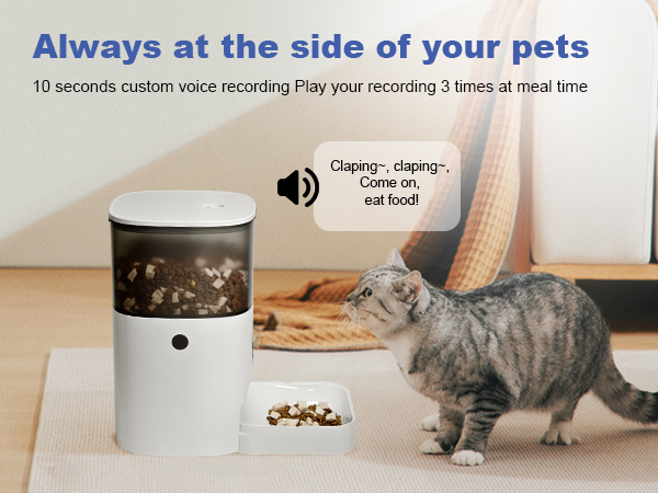 automatic cat feeder with voice call