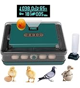 Ovatt 25 Egg Incubator, Automatic Poultry Hatcher with Digital Temperature &amp; Humidity Control, LE...