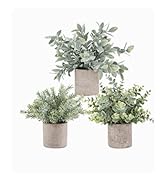 FAKE PLANT