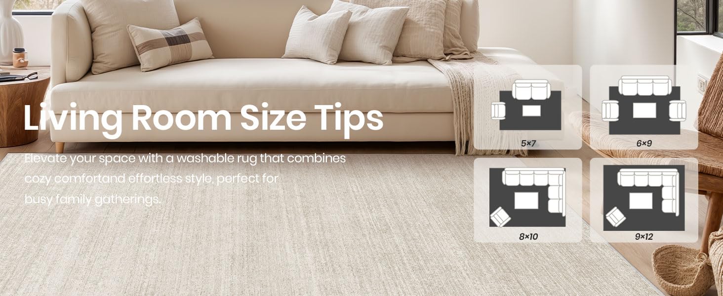 living Room rug