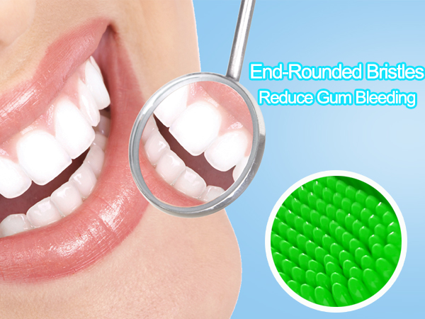 end rounded bristles