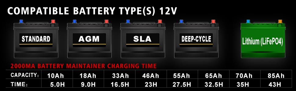 12 volt battery charger