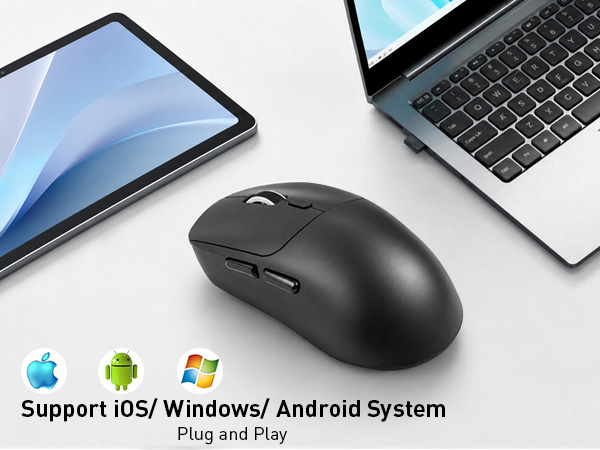 system