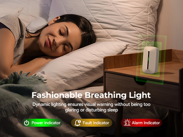 Carbon Monoxide Detector