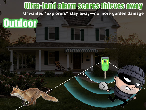 solar outdoor motion sensor alarm