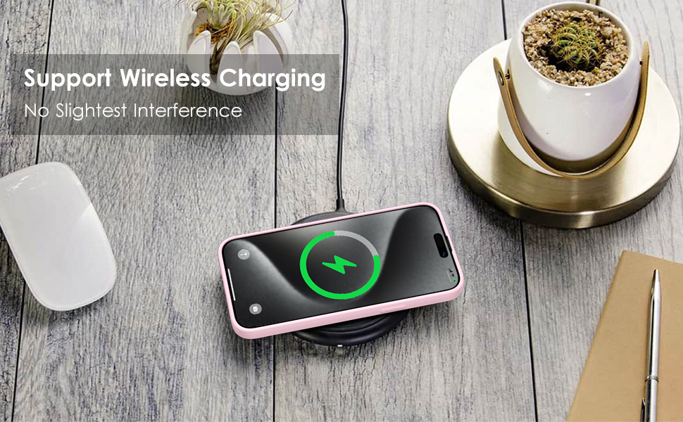 iPhone 15 Pro Max Phone Case