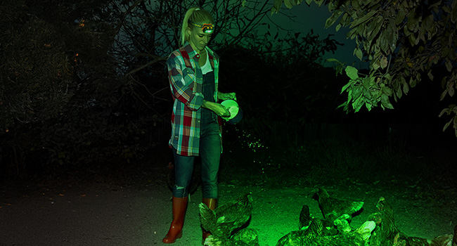 Less intrusive green light, able to penetrate dense vegetation, perfect for animal exploration.