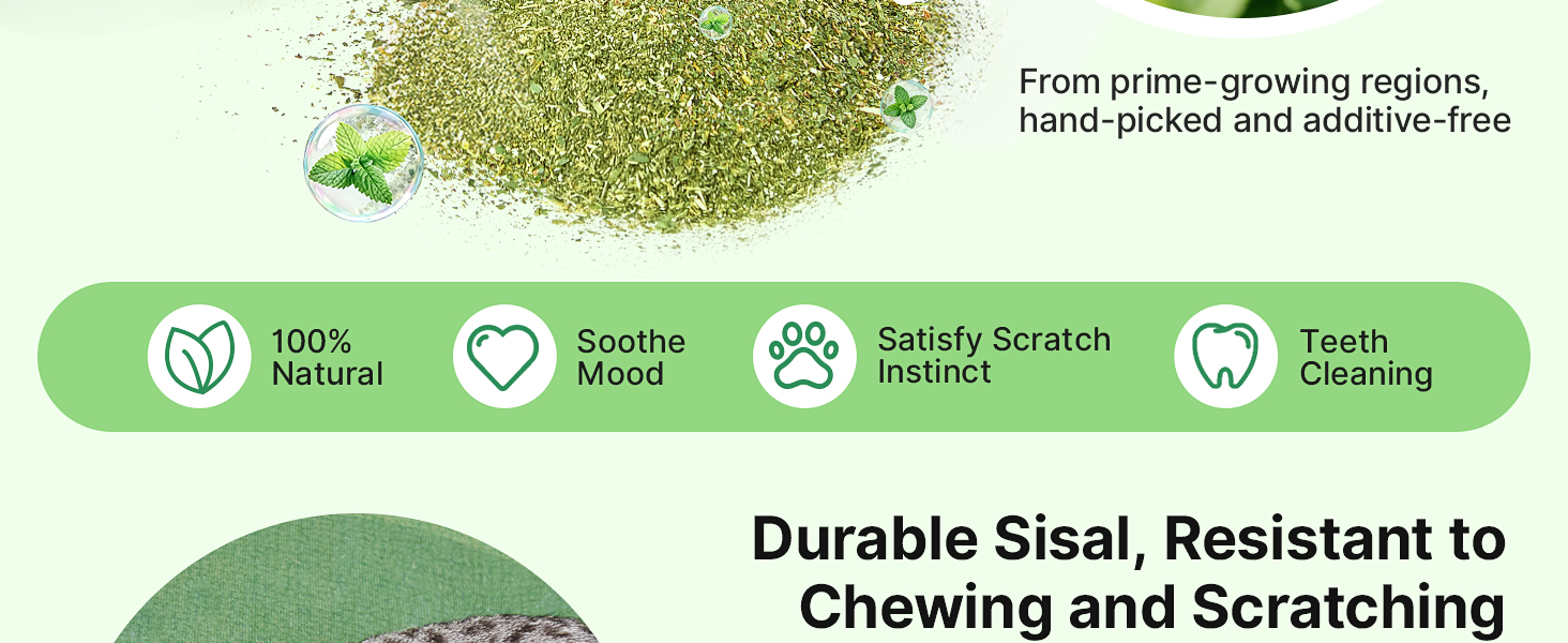 cat nip toys