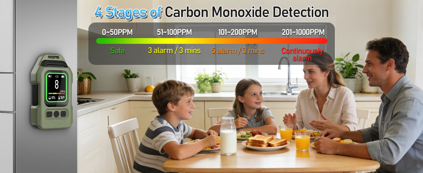 travel carbon monoxide detector