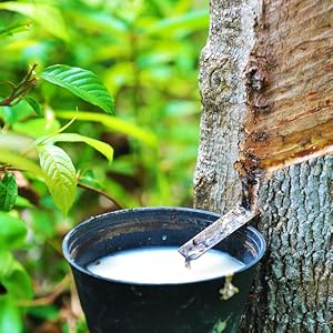 latex free gloves disposable reusable