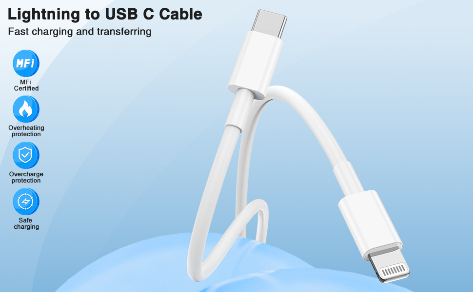 USB C to Lightning Cable