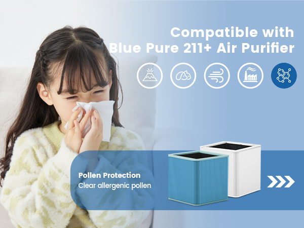 211+ Replacement Filter