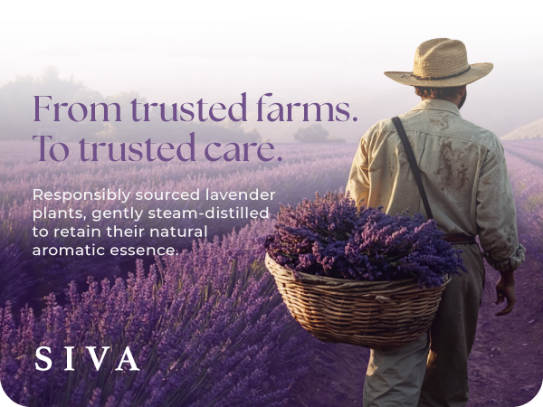 Choose your pack of oils with SIVA for skincare, haircare and aromatherapy