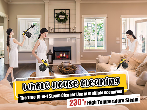 Handheld Steam Cleaner