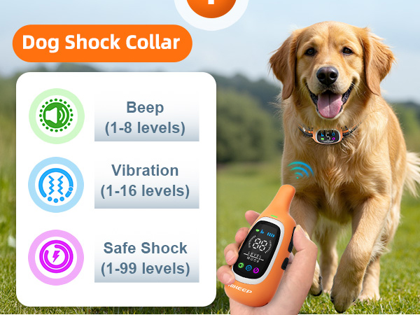 2-in-1 Dog Shock Collar and Bark Collar