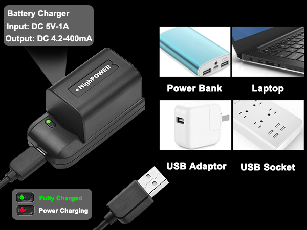 NP-FV5 battery charger