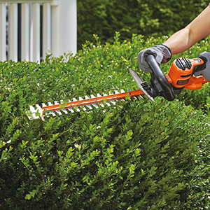 20-Inch Dual-Action Blade