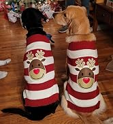 TENGZHI Dog Christmas Sweater Pet Costume XXS Cat Ugly Christmas Sweater Fall Puppy Jumper Dog Ou...