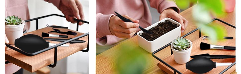succulent tools