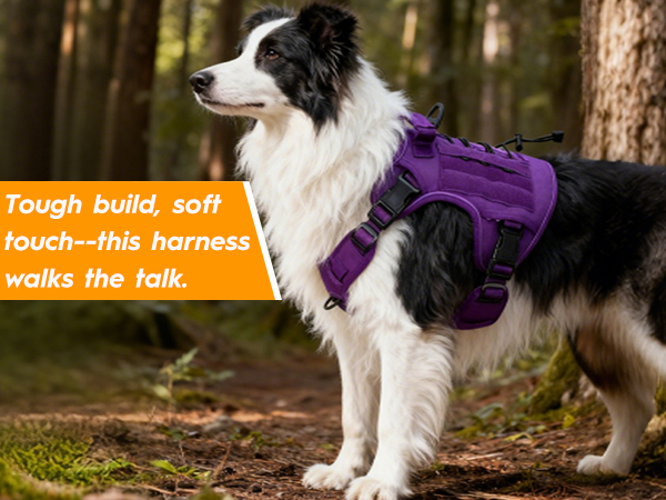Easy-clean harness with nylon material, quick-dry design and anti-odor feature for long-lasting use.