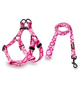 floral pink dog harness lessh