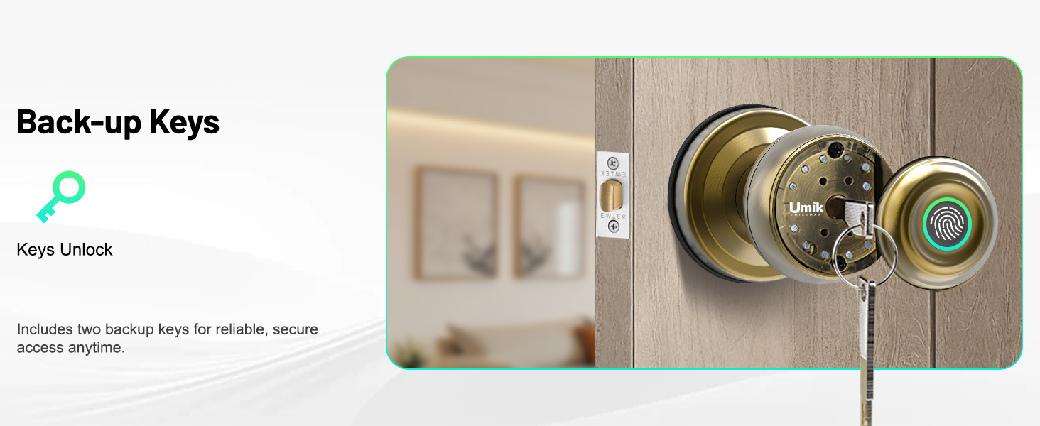 Fingerprint Door Lock