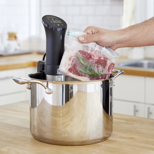 Vacuum vaccuum sealer food protector keep food fresh