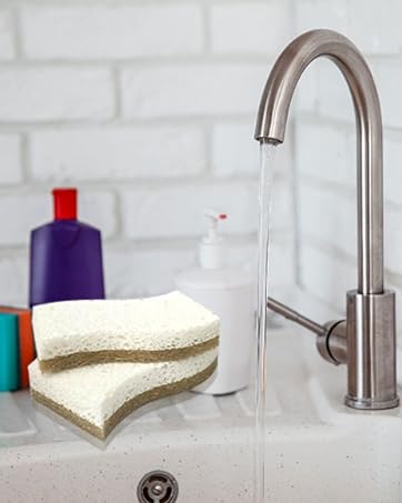 KITCHEN SPONGE