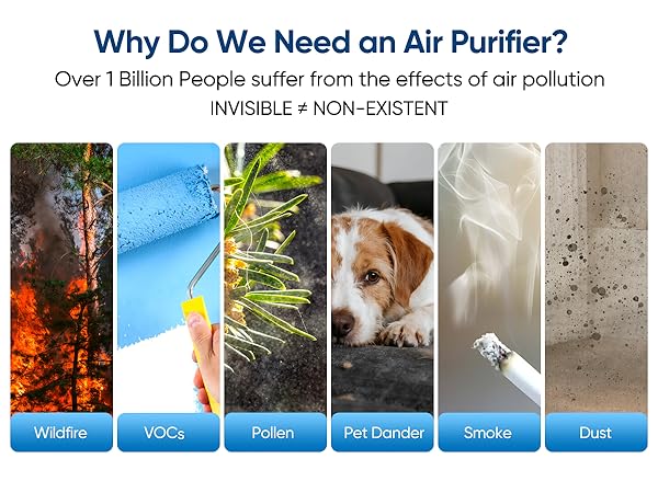 Air Purifiers for Home Bedroom, HEPA Pet Hair Air Purifier, Quiet Sleep Mode
