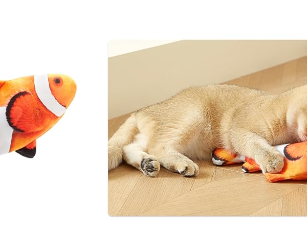 Clownfish