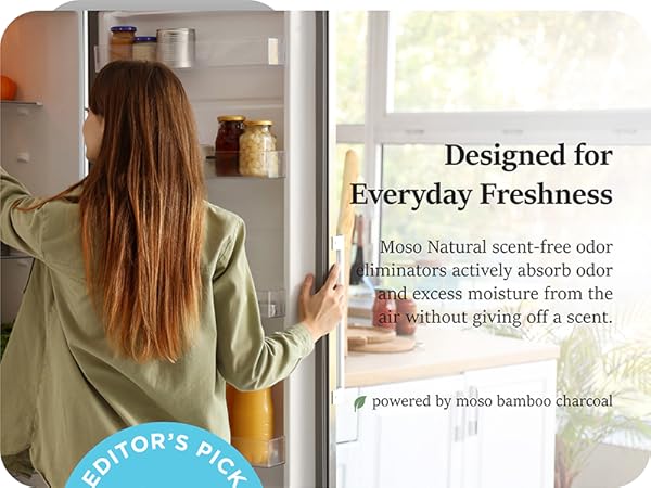 Activated charcoal fridge odor absorber removes food spoilage smells mini fridge freezer cooler