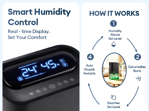 Dehumidifier for Home
