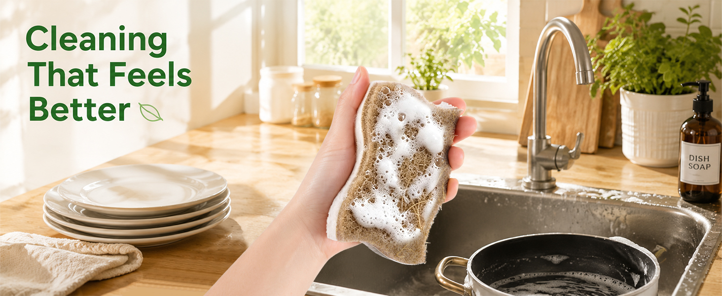 dish sponge