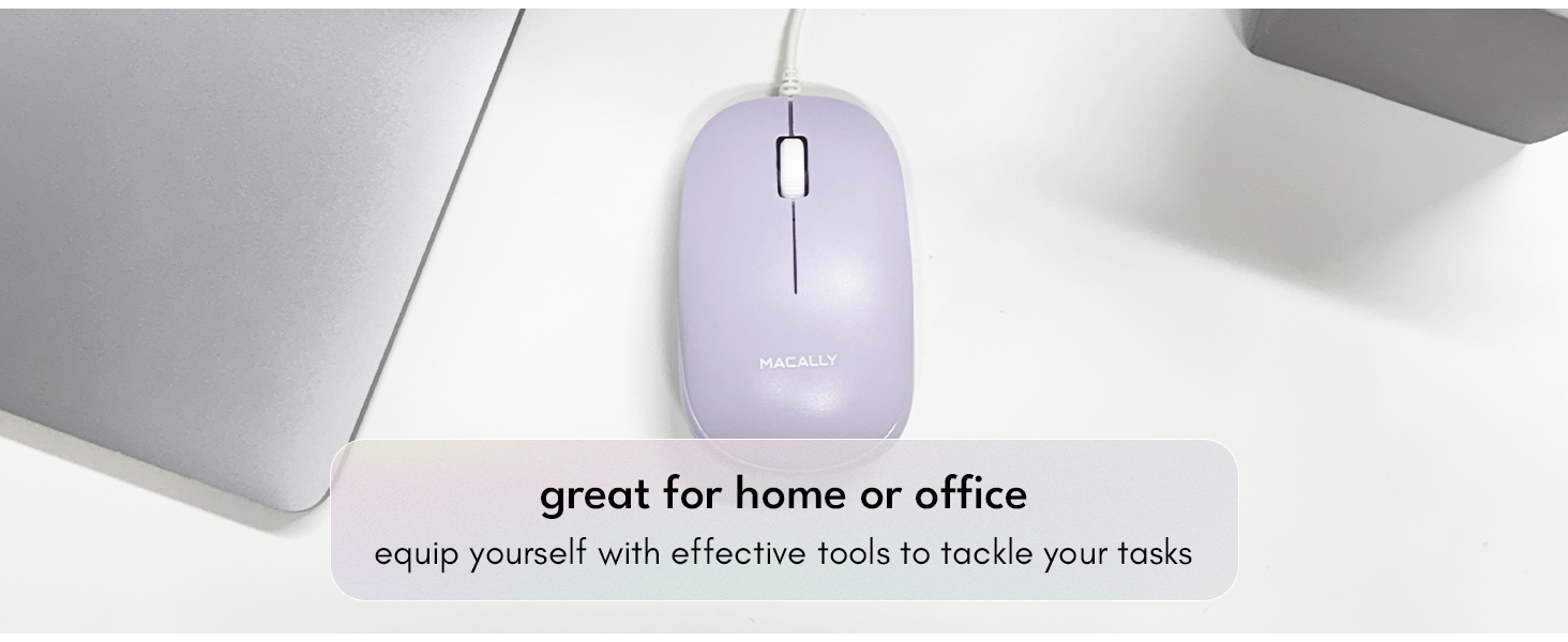 mouse