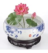 DOITOOL 7 Inch Lotus Bowl Planter Water Lily Pot with Stand, CactuSucculent Planters Cactus Hydro...