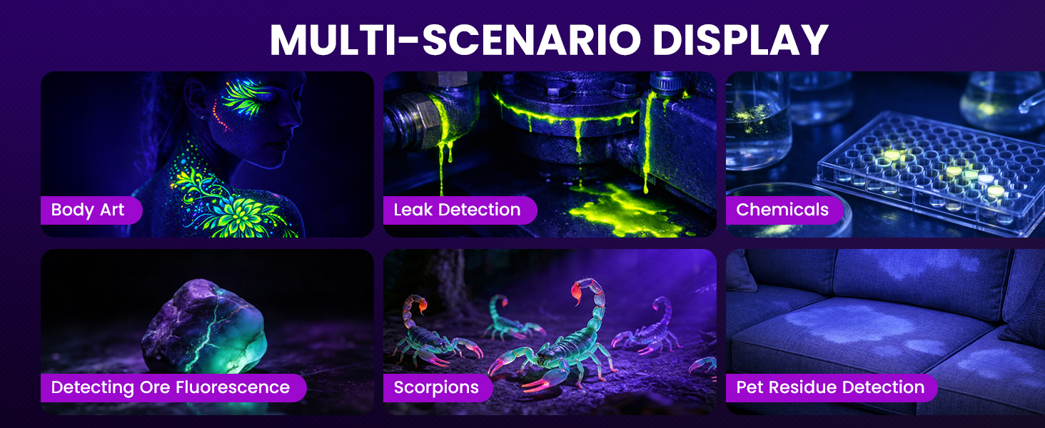 Multi-scenario display