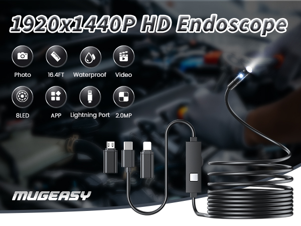 endoscope
