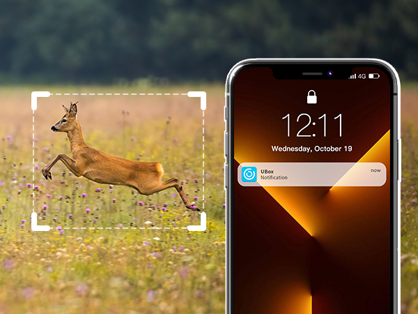 trail cameras with night vision motion activated waterproof